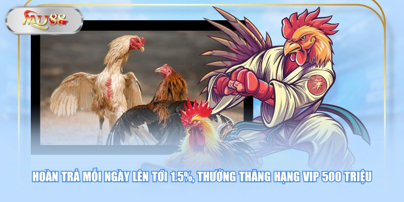 Hoàn trả mỗi ngày lên tới 1.5%, thưởng thăng hạng VIP 500 triệu
